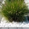 Generisch 20 kg Groß Steine zum Bemalen & Garten Kieselsteine Weiße Kies Dekosteine Naturstein Marmorkies Zierkies Kiesel für Gartendeko - Aquarium Deko Stein Gartensteine Weiss Gross 8-13 cm - Image 4