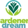 1 x Buddleia dreifarbiger Schmetterlingsstrauch gemischte Farben gesunde Gartenpflanze im Topf - Image 4