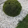 4myBaby GmbH Best for Garden Kieselsteine 16-32 mm umweltfreundlich Kies Splitt Natur bunt für Beete, Wege & Gartenteiche Zierkies 10 kg-500 kg zur Auswahl (10) - Image 5